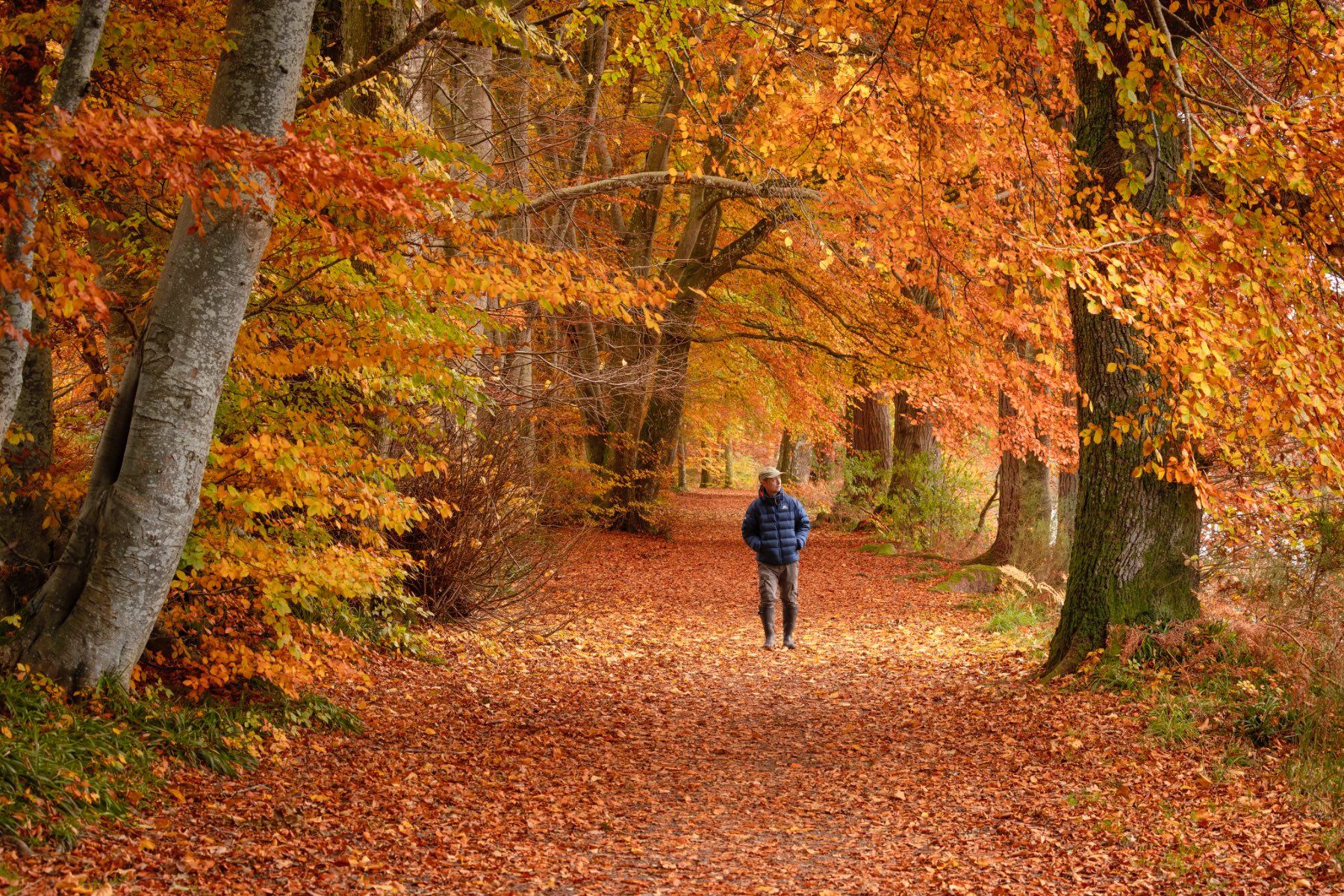 Autumn at Lady Mary's Walk