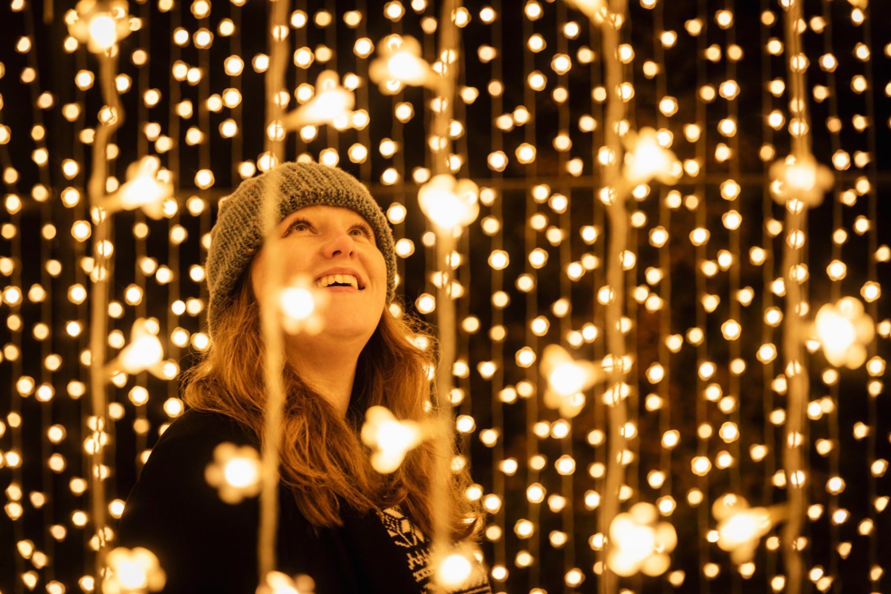 Christmas at The Botanics