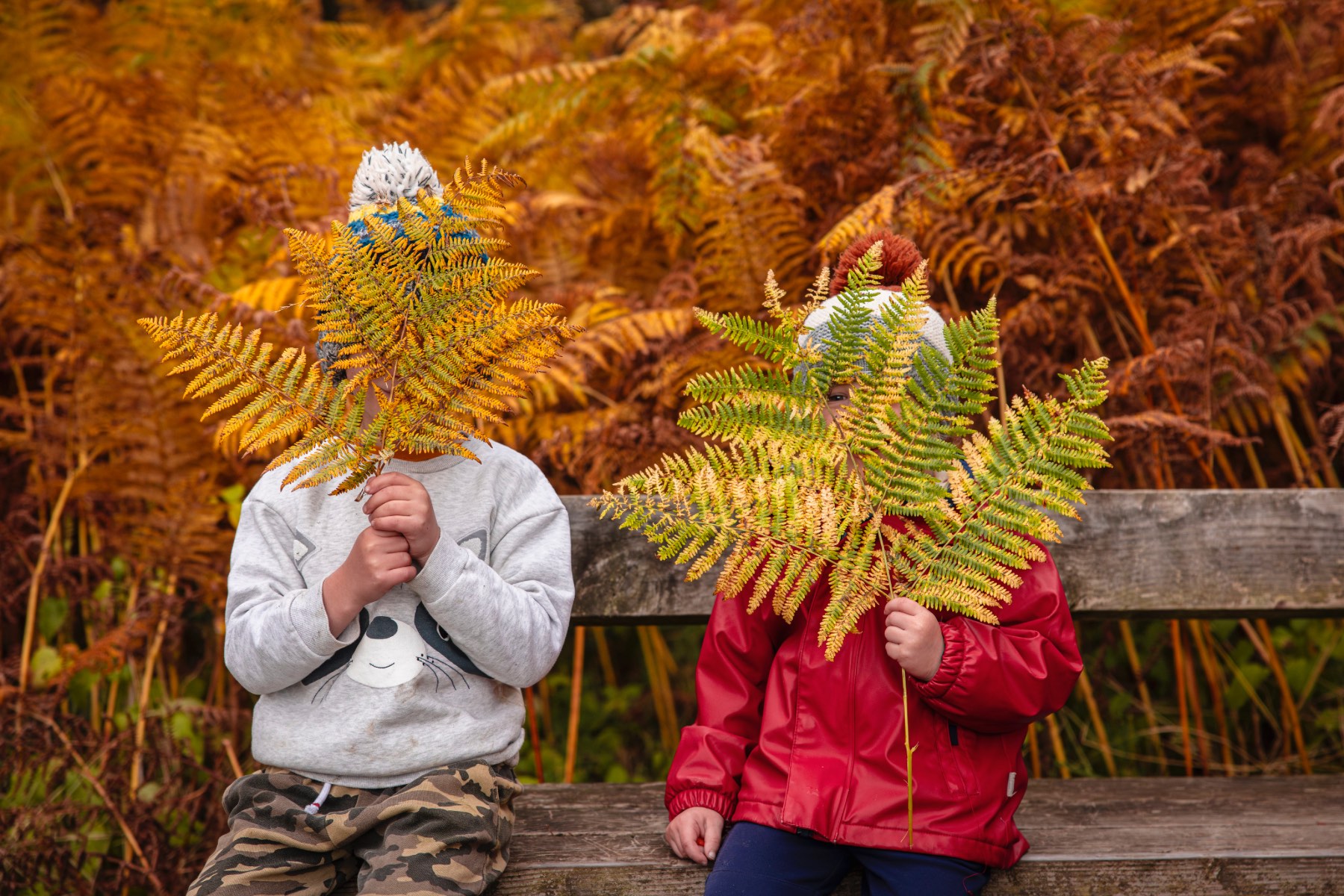Two boys playing with autumn leaves