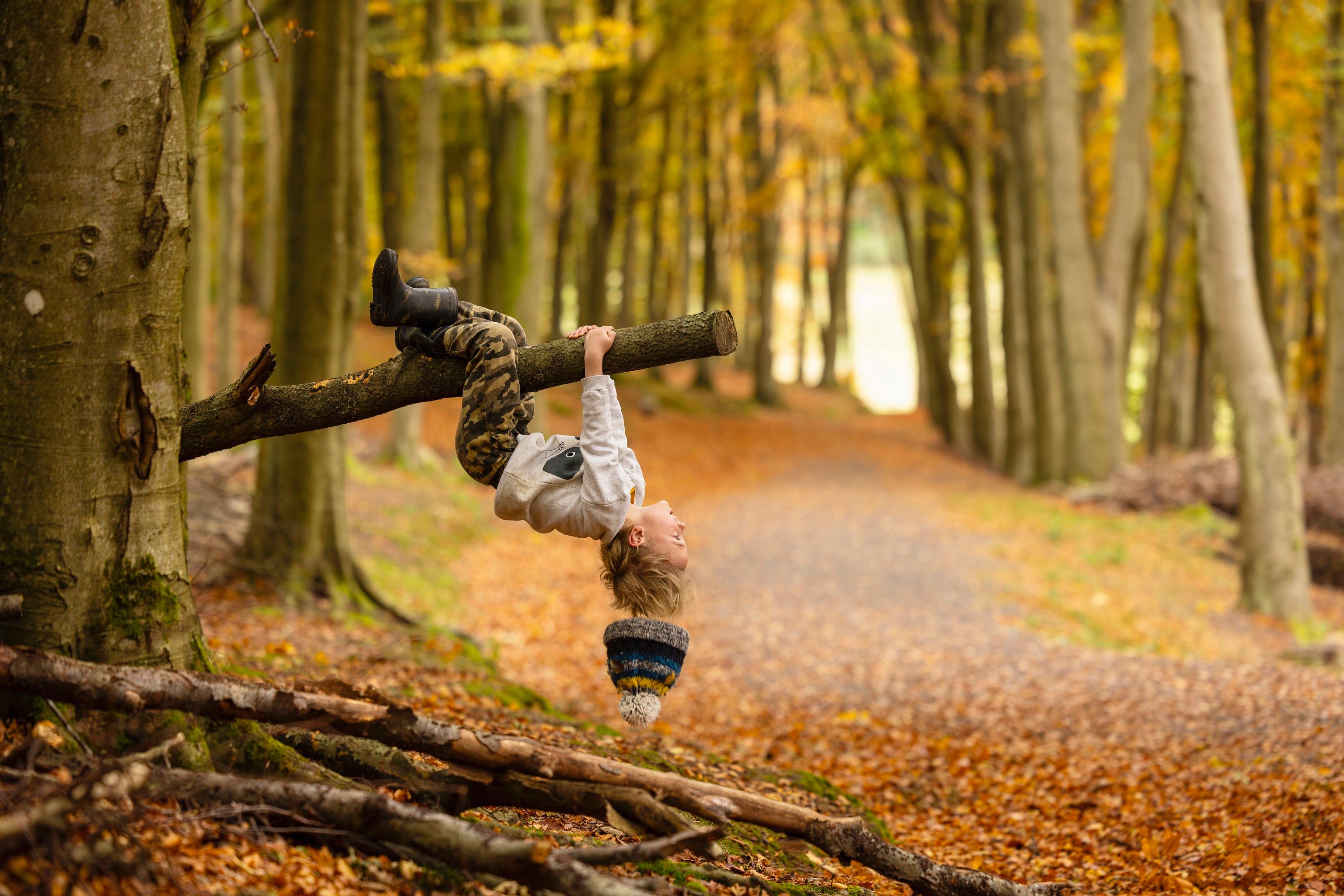Boy swinging from tree branch in the woods