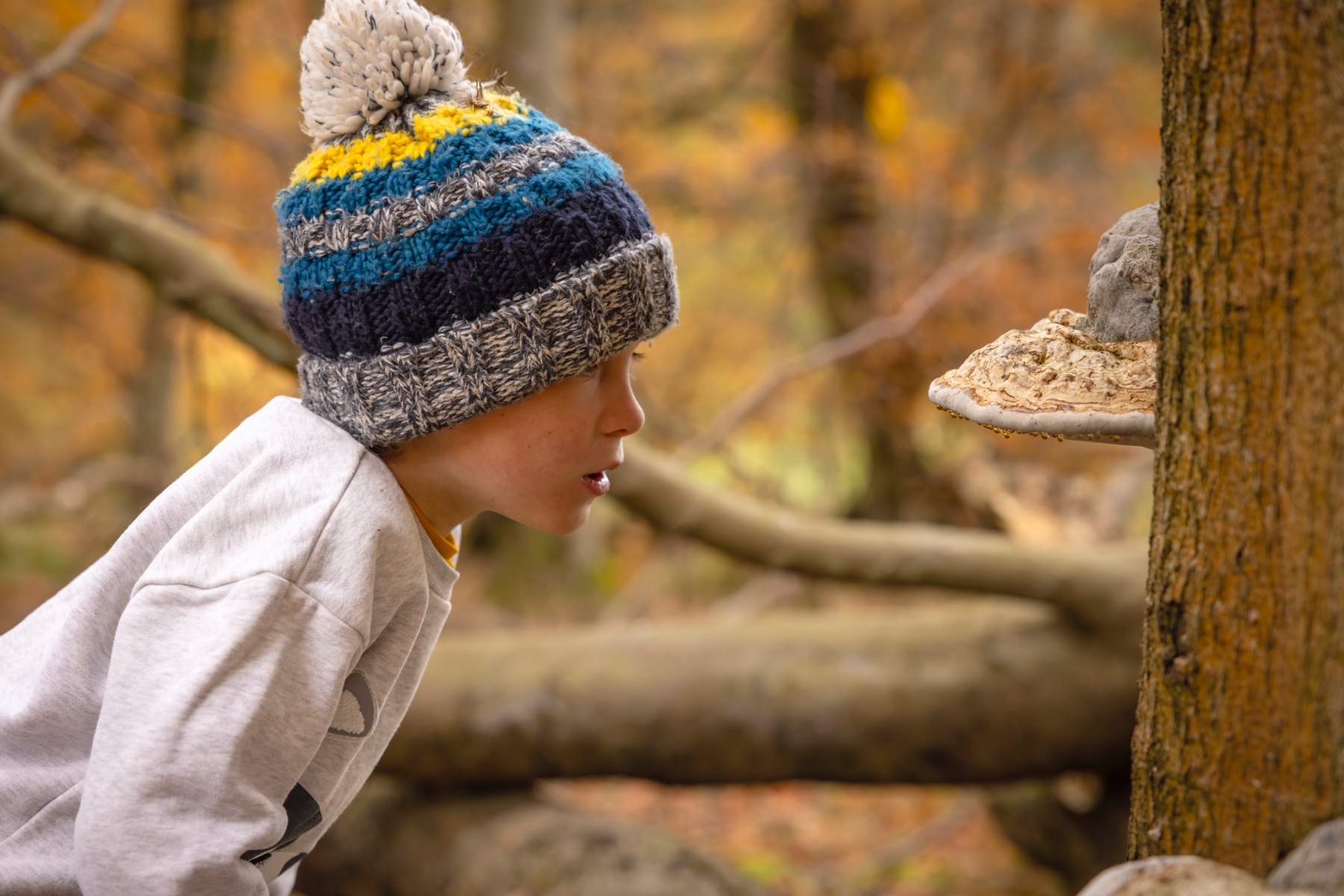 Fungus spotting on Kinnoull Hill