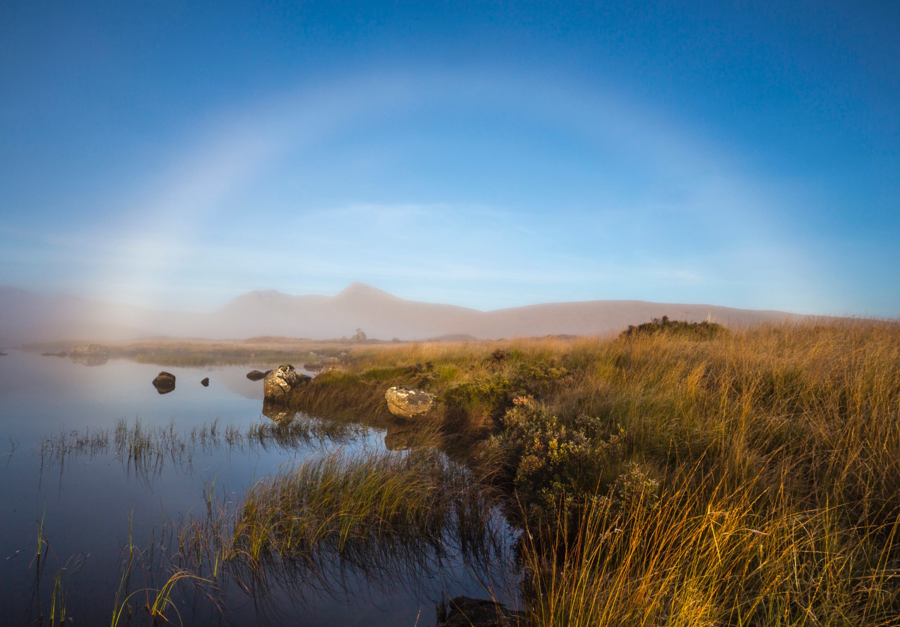 fogbow at Rannoch Moor