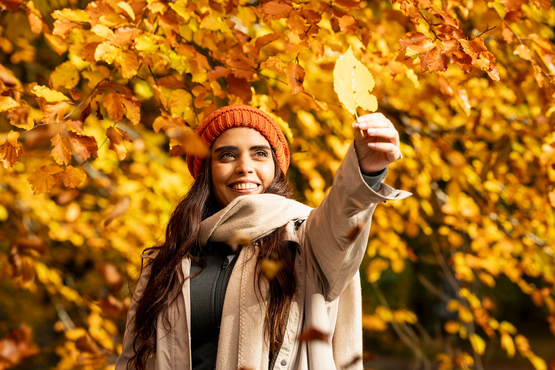 Lady holding and admiring golden autumn leaf
